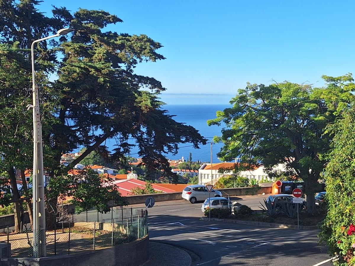 Funchal Apartments - New Botanic Garden Petit Studios Exterior foto